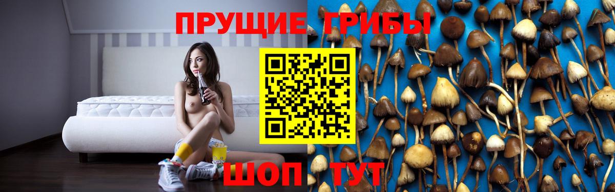 Лосино-Петровский  Галлюциногенные грибы MAGIC MUSHROOMS  закладка  Вход с VPN 