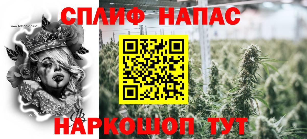 Канабис OG Kush Лосино-Петровский